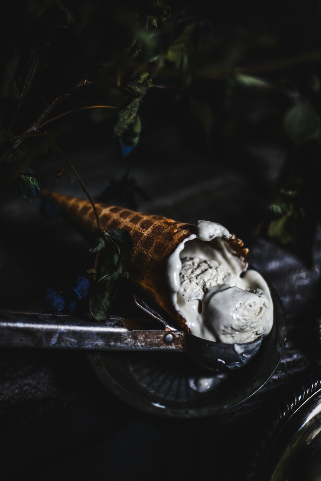 Vanilla bean & cardamom crème fraiche ice cream | Photography & Styling by Christiann Koepke of Christiannkoepke.com_-8